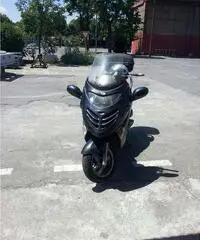 Kimco gran dink Kimco gran dink