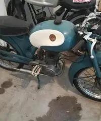 Pegaso 48