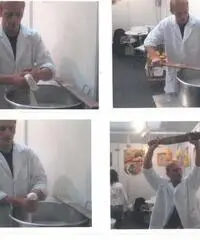 Tecnico casaro Tecnico casaro
