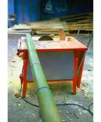 In vendita canne di bambù bambu con diametri da 1 a 10 cm. lunghezza da definire