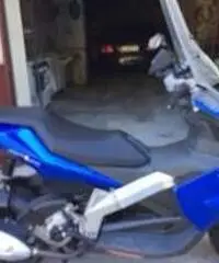 Scooter Derby 250GP 1