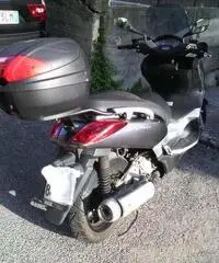 X max 250 X max 250