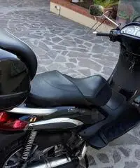 beverly 500