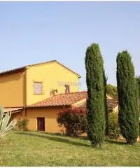 Rustico indipendente a Montecarlo