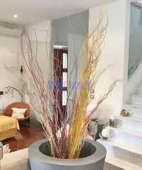 Villa a Lido di Camaiore