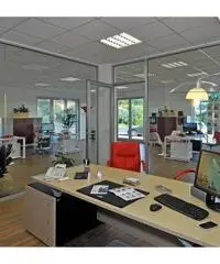 Agente Immobiliare