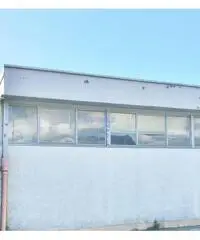 Capannone a Montramito Capannone a Montramito