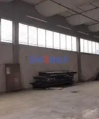 Capannone a Segromigno