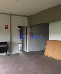 Capannone a Segromigno