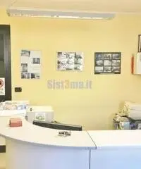 Capannone a Camaiore