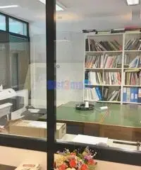 Capannone a Camaiore Capannone a Camaiore