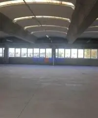 Capannone a Camaiore