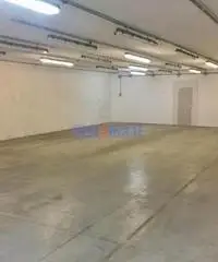 Capannone a Massarosa