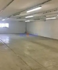 Capannone a Massarosa