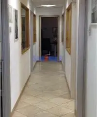 Capannone a Viareggio con carroponte