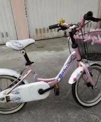 Bicicletta Bottecchia Bicicletta Bottecchia