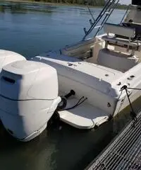 WELLCRAFT SCARAB 302 SPORT