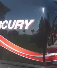 Mercury Optimax 225 L