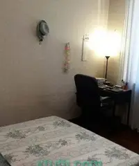 RAGAZZA LAVORATRICE PER STANZA MATRIMONIALE