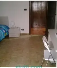 Affitto Camera Singola