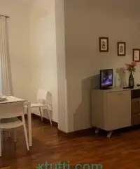 Bilocale nuovo e centrale