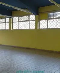 Ampio Negozio con Piazzale (Ad Alta Visibilità)