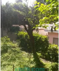 Affitasi soluzione indipendente