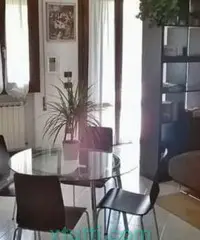 Mini a reschigliano di vigonza (pd)