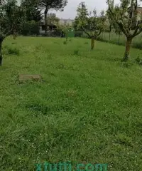 Vendesi a Sarteano-Siena villetta a schiera capotesta