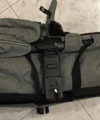 Trio Jane' Crosswalk