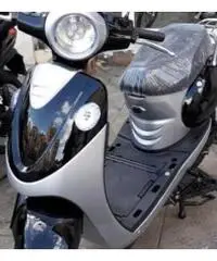 Biciclette elettrica