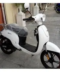 Biciclette elettrica