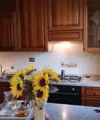 Villino a Collefiorito