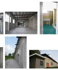 2 Capannoni artigianali, appartamento, ampio terreno