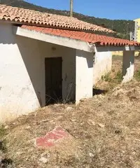 Terreno edificabile Lu Fraili San Teodoro