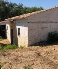Terreno edificabile Lu Fraili San Teodoro