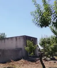 Terreno con Casale
