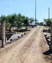 Terreno con Casale