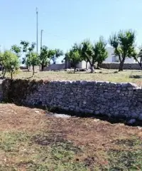 Terreno con Casale