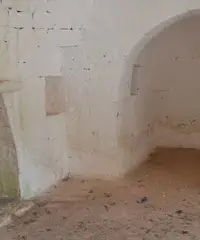 Rustico + terreno 4327mq