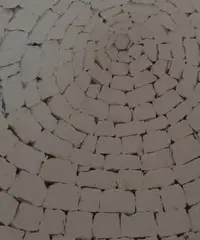 Rustico + terreno 4327mq