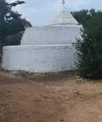 Rustico + terreno 4327mq