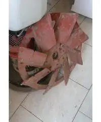 Monospazzola