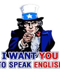 Docente Madrelingua Inglese impartisce corsi professionali