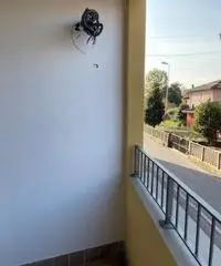 Trilocali
