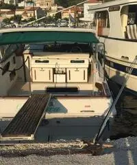 Sea ray 30 we, gia' in grecia