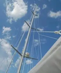Xc-50 anno 2011