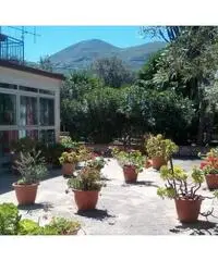 Villa su 2 livelli con dependance-1600mq.terreno