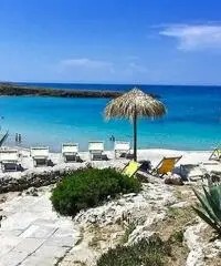 Annuale, ideale per Trasfertisti (Arredato) Annuale, ideale per Trasfertisti (Arredato)