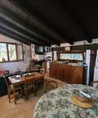 Villa con giardino